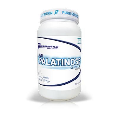 ISO PALATINOSE - 1kg - PERFORMANCE NUTRITION