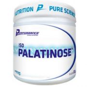 ISO PALATINOSE - 300g - PERFORMANCE NUTRITION