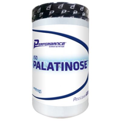 ISO PALATINOSE - 600g - PERFORMANCE NUTRITION